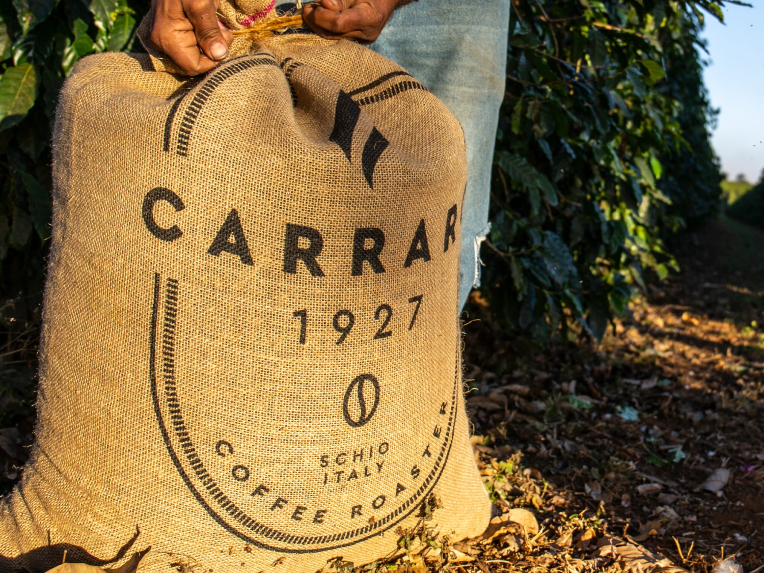 Carraro Espresso Cup And Saucer 2 Carraro Espresso Cup And Saucer - Image 2