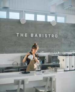 Brewista Artisan Electric Gooseneck Kettle - Pearl White 11 Brewista Artisan Electric Gooseneck Kettle - Pearl White -Coffee Drink Store IMG 2932newlogo