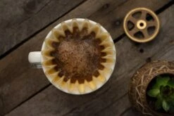 Saint Anthony Industries F70 Ceramic Flatbottom Pourover Brewer - White -Coffee Drink Store IMG 36563 07782f5d 0f60 4cf0 9374 ea71c08866b7