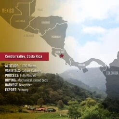 Barrie House Costa Rican La Alianza Tierra Madre Single Origin Fair Trade Organic Coffee 10 Barrie House Costa Rican La Alianza Tierra Madre Single Origin Fair Trade Organic Coffee -Coffee Drink Store Stats CostaRica 1024x1024 626fdc77 f52d 478d 92c2 a3a827619d4a